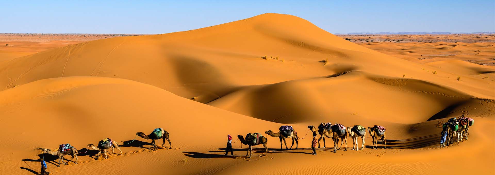 Camel Safari Tour