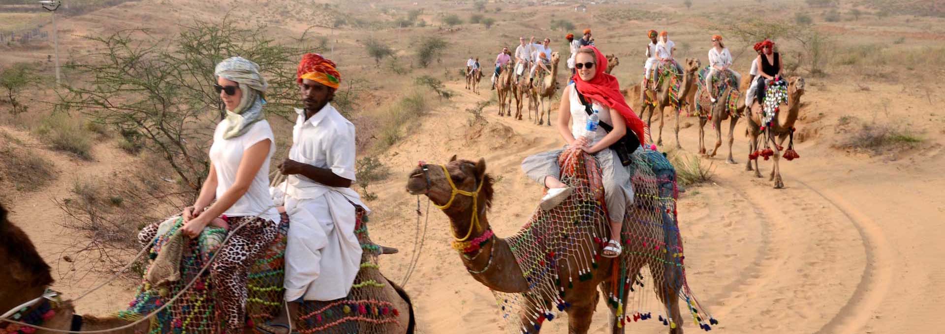 Camel Safari Tour