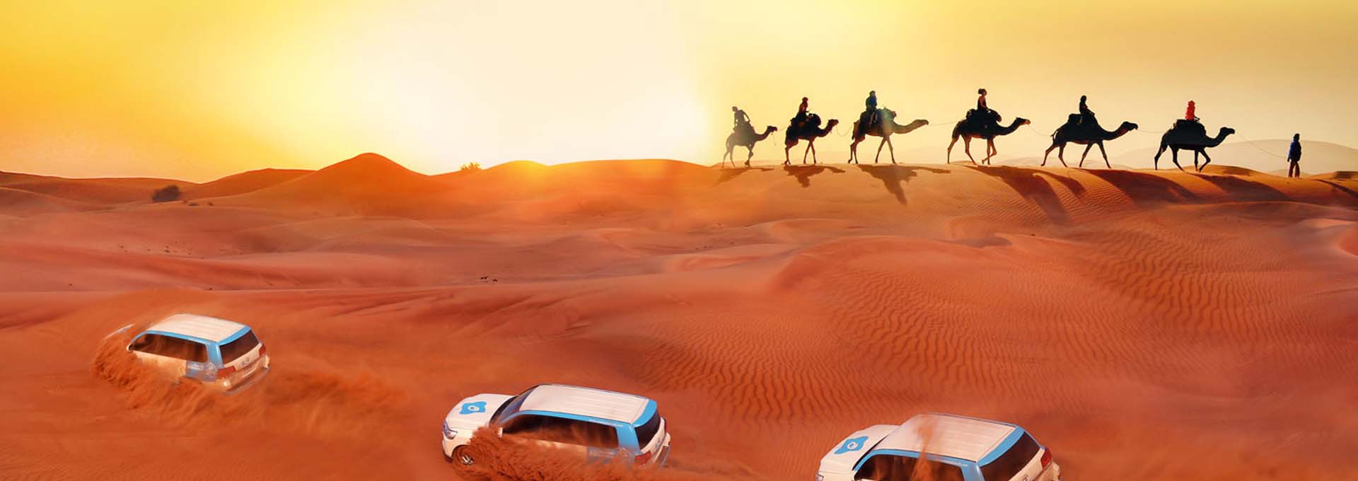 Camel Safari Tour