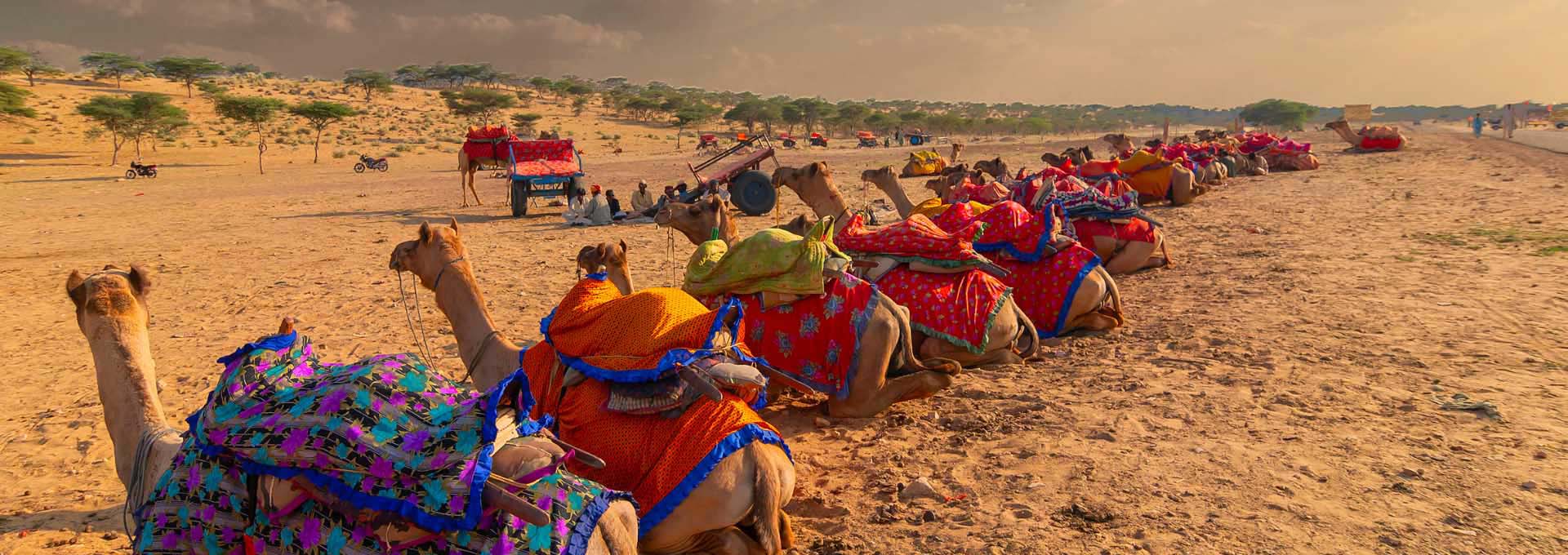 Rural Rajasthan Tour