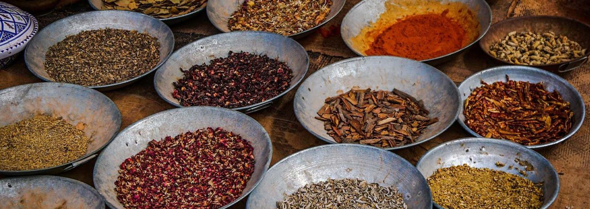 Temple and Spices Tour of Kerala