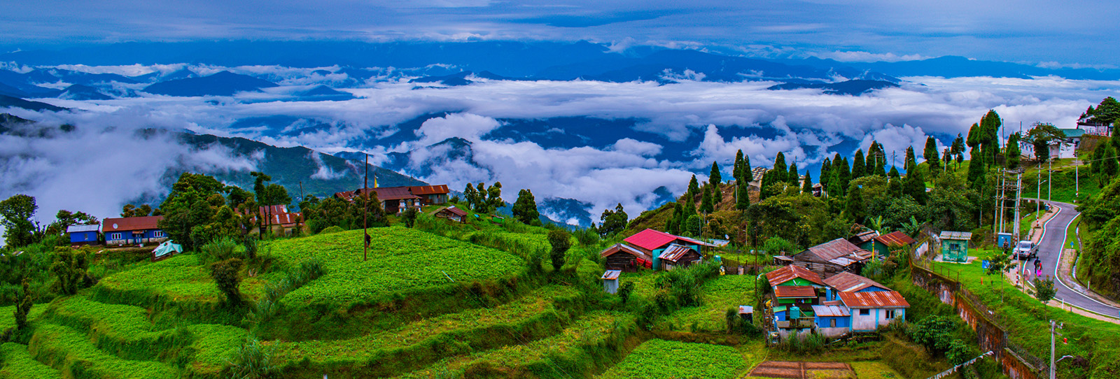 darjeeling