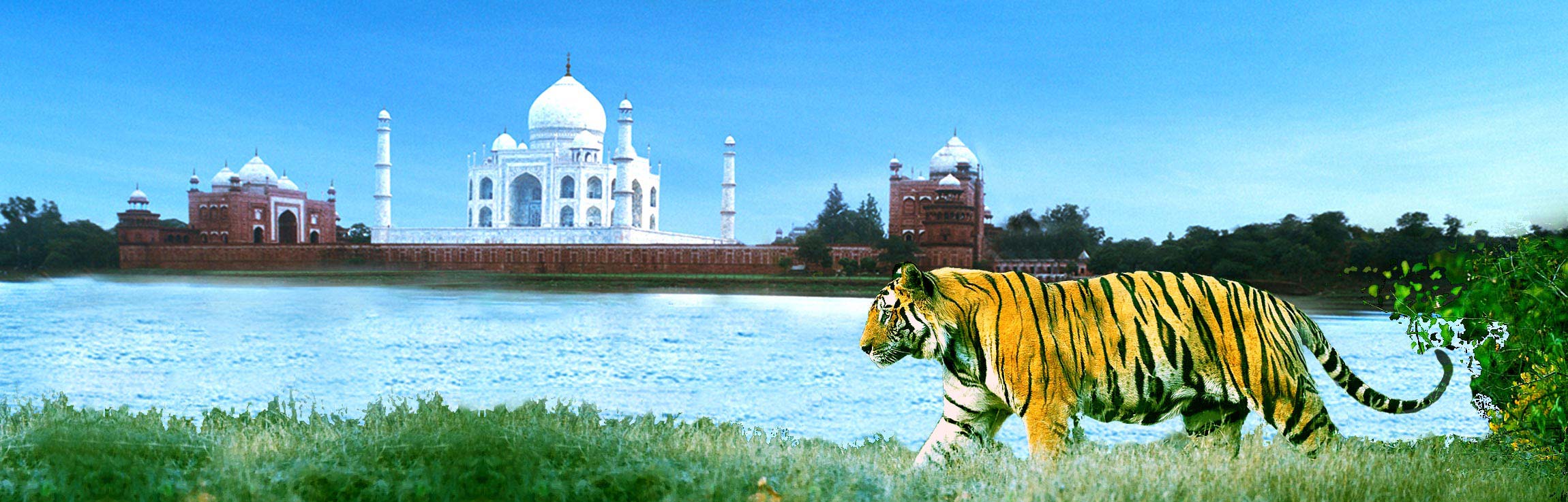 Golden Triangle