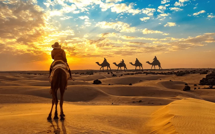 Camel Safari Tour