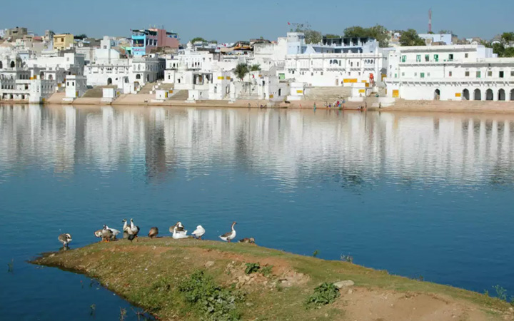 Pushkar Fair Special Tour Package