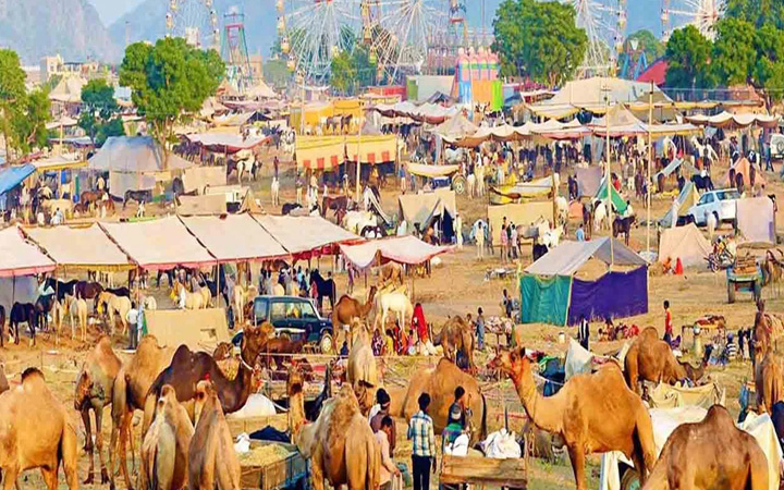Pushkar Fair with Golden Triangle Tour