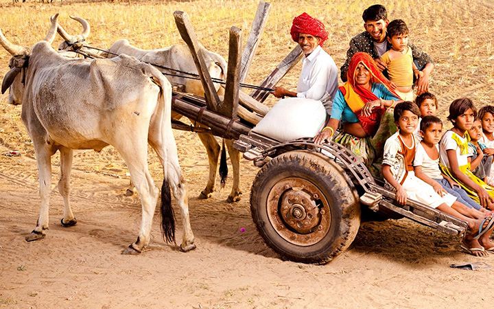 Rural Rajasthan Tour