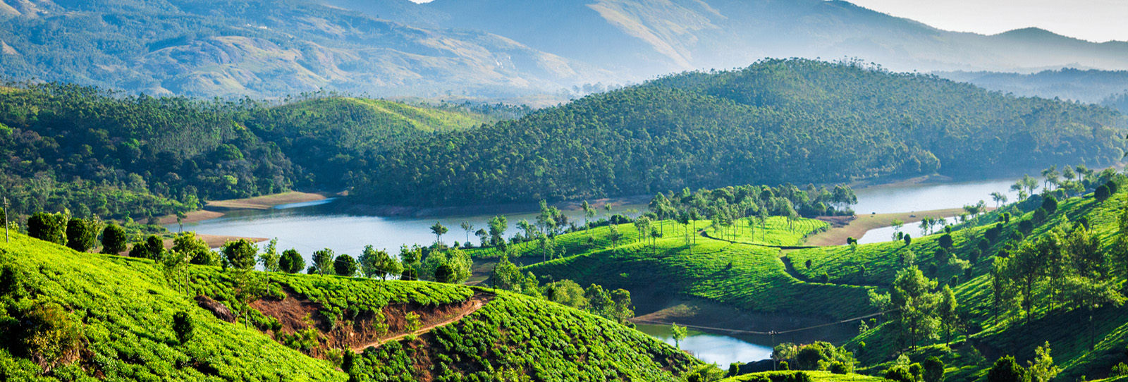 munnar