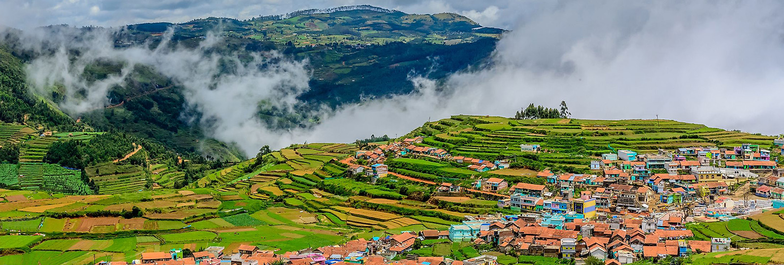 Ooty